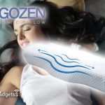 Qinux Ergozen Reviews