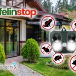 Qinux Felinstop Recensioni