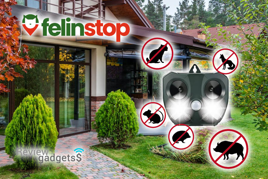Qinux Felinstop Recensioni