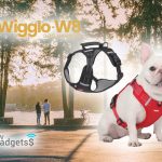 Qinux Wigglo W8 Avis