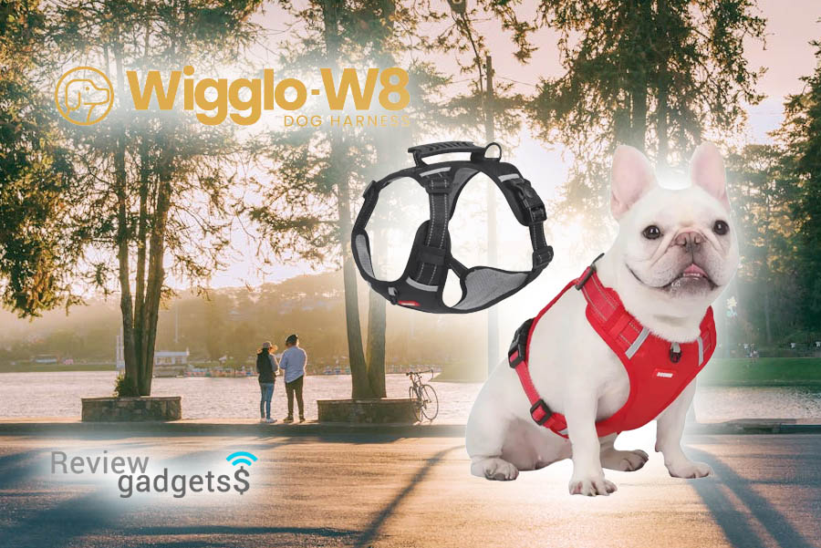 Qinux Wigglo W8 Avis