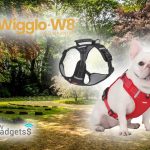 Qinux Wigglo W8 Recensioni