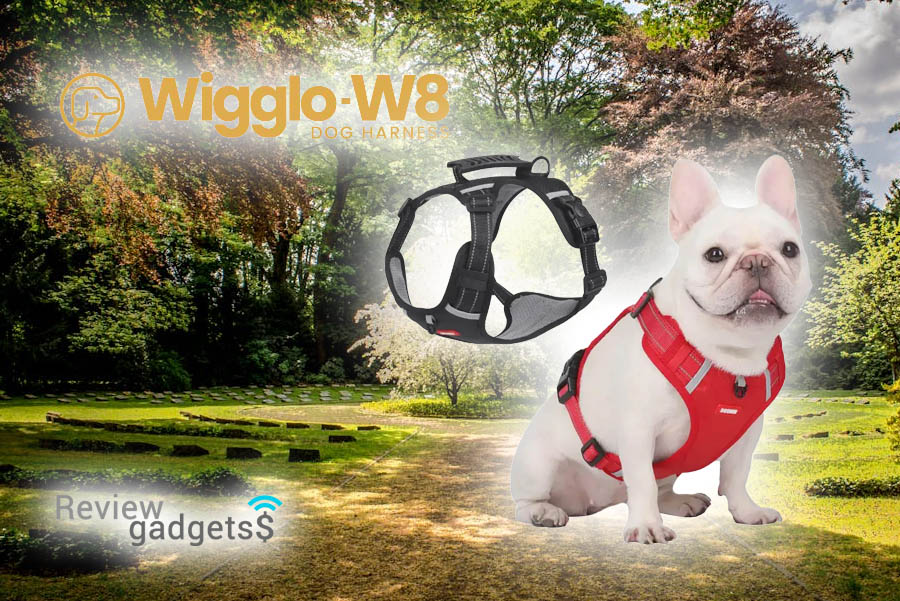 Qinux Wigglo W8 Recensioni