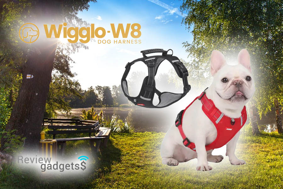Qinux Wigglo W8 Reviews