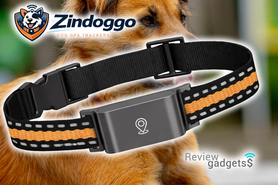 qinux zindoggo erfahrungen