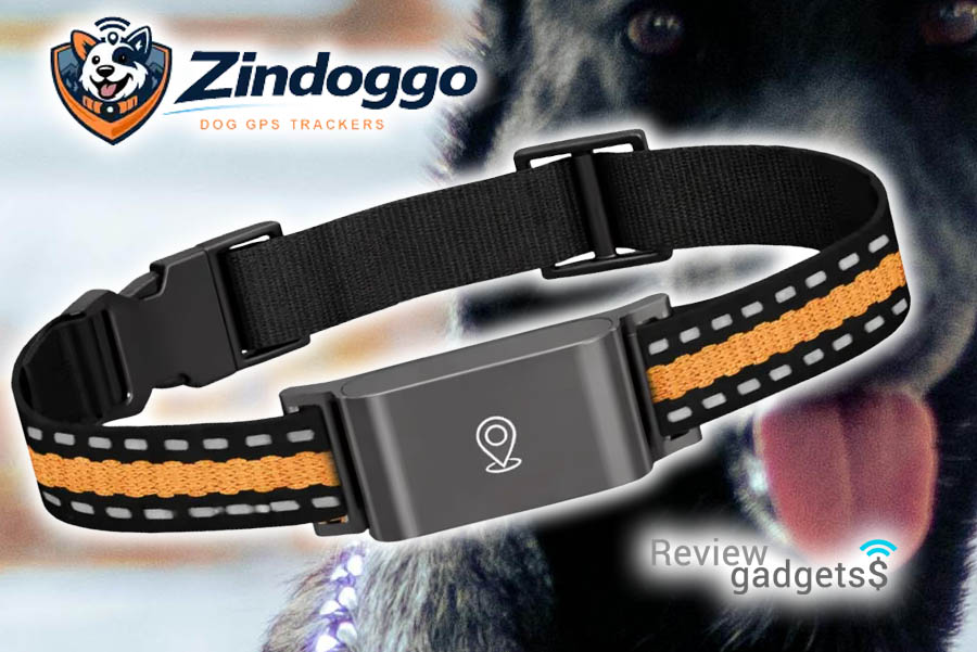 qinux zindoggo opiniones