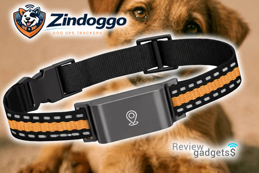 qinux zindoggo recensioni