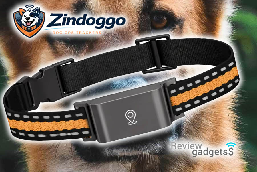 qinux zindoggo reviews