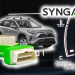 syngas opiniones